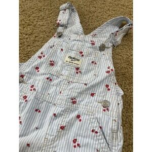 Oshkosh B'gosh 18 Months Baby Girls Blue Stripe Floral Shortalls Overalls